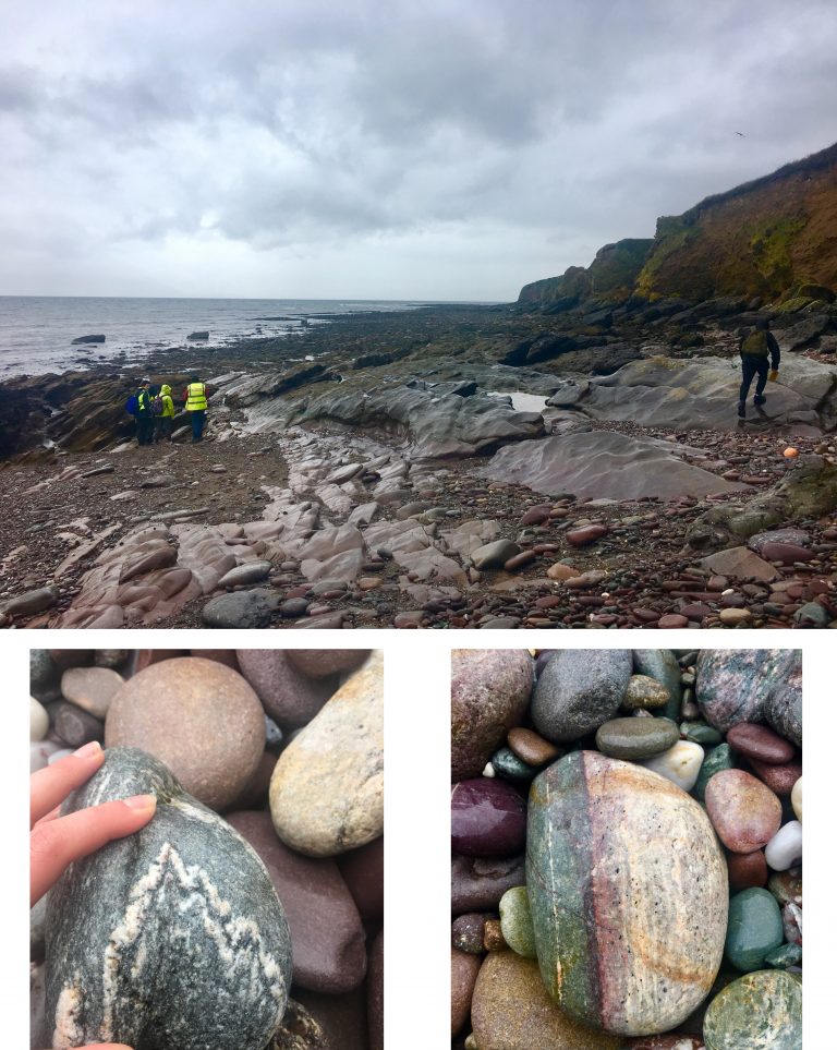 People investigating fossils on the dingle shore