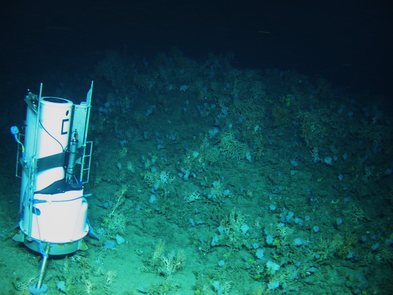 Monitoring equipment on the sea bed