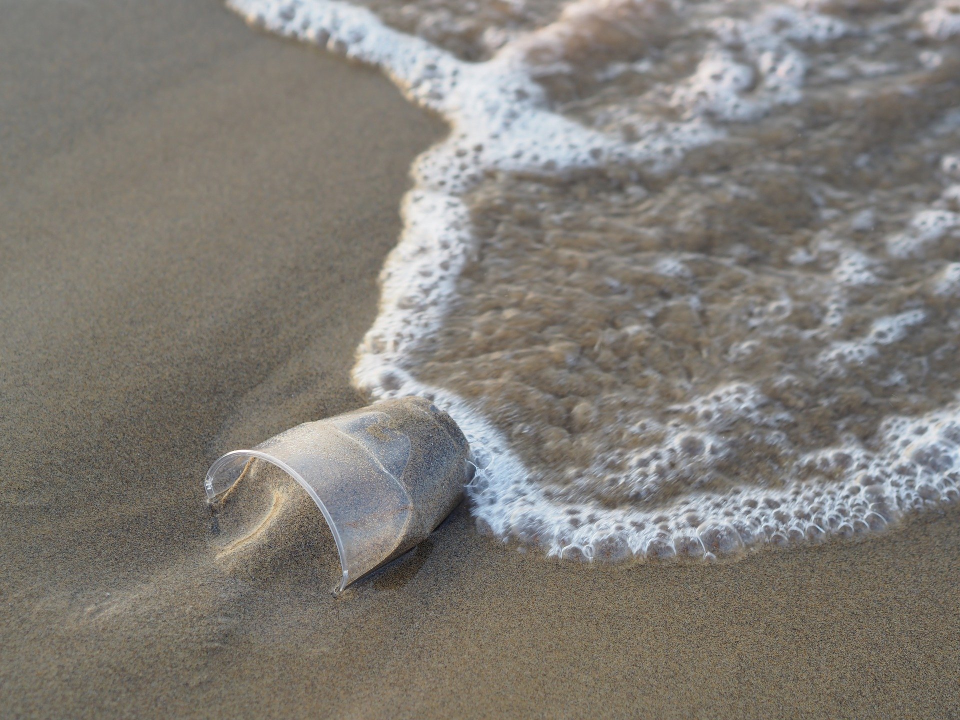 Plastic Pollution in a Submarine Canyon 