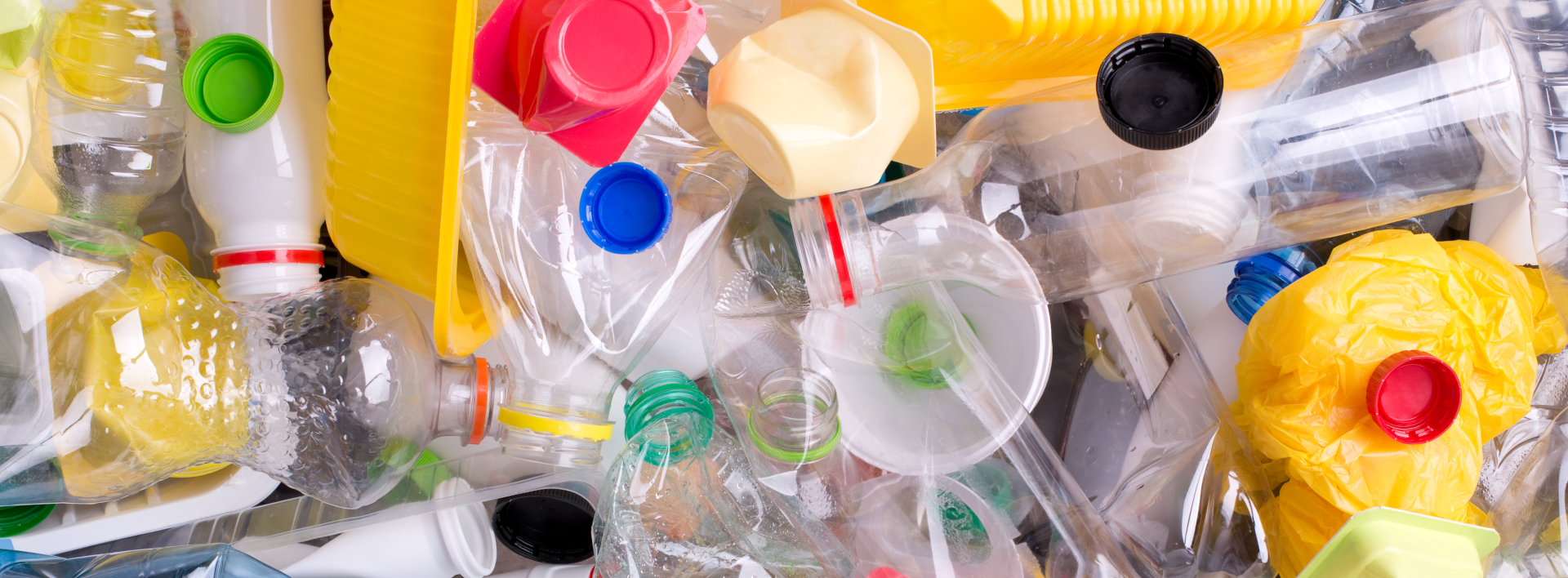 Bioplastics - Where Do They Come From?