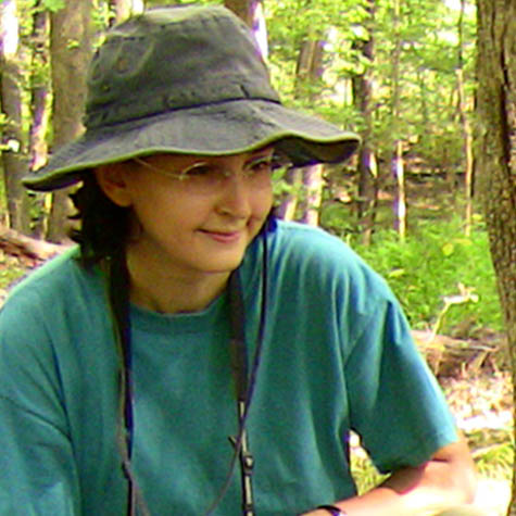 Ipek Kulahci