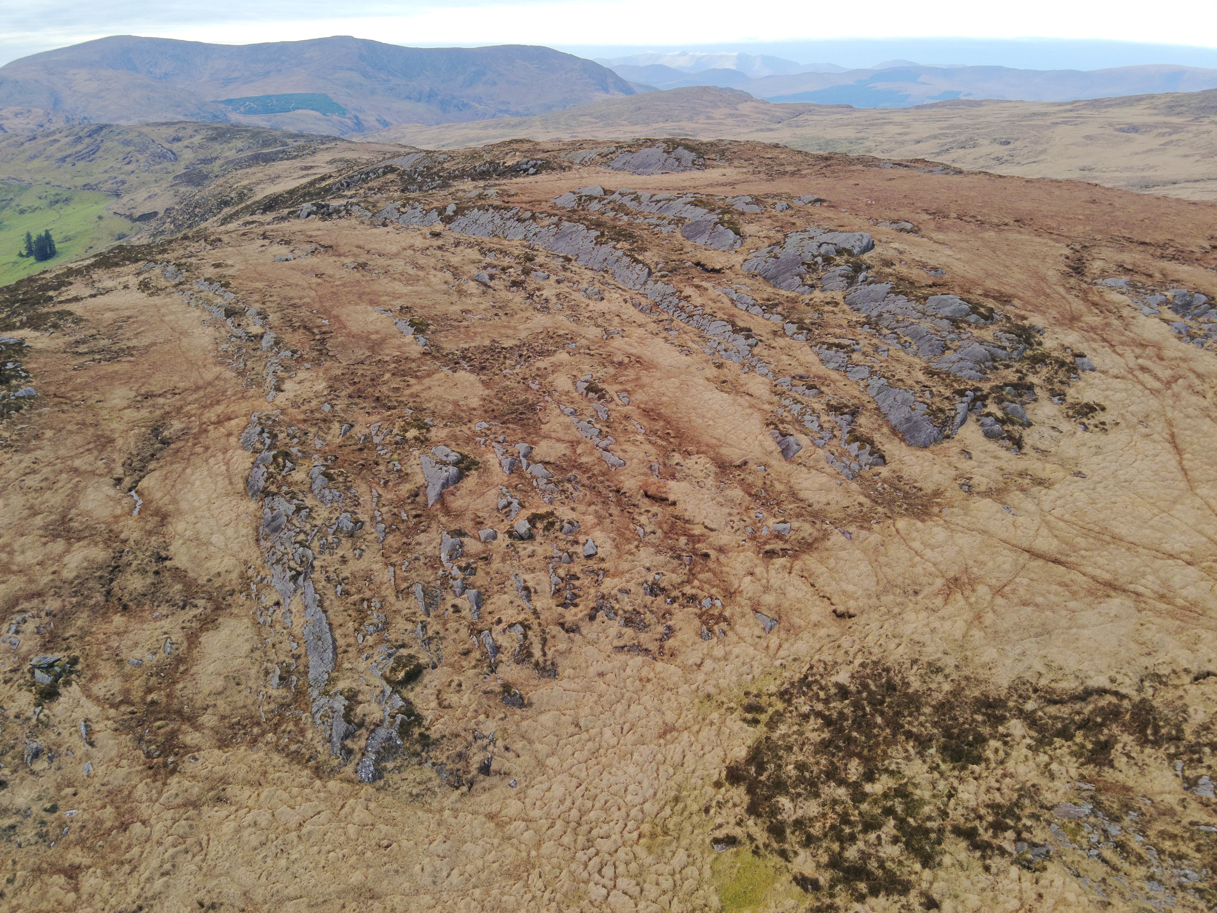 Upland landscape in County Kerry, where Red Grouse can still be found in patches of suitable vegetation