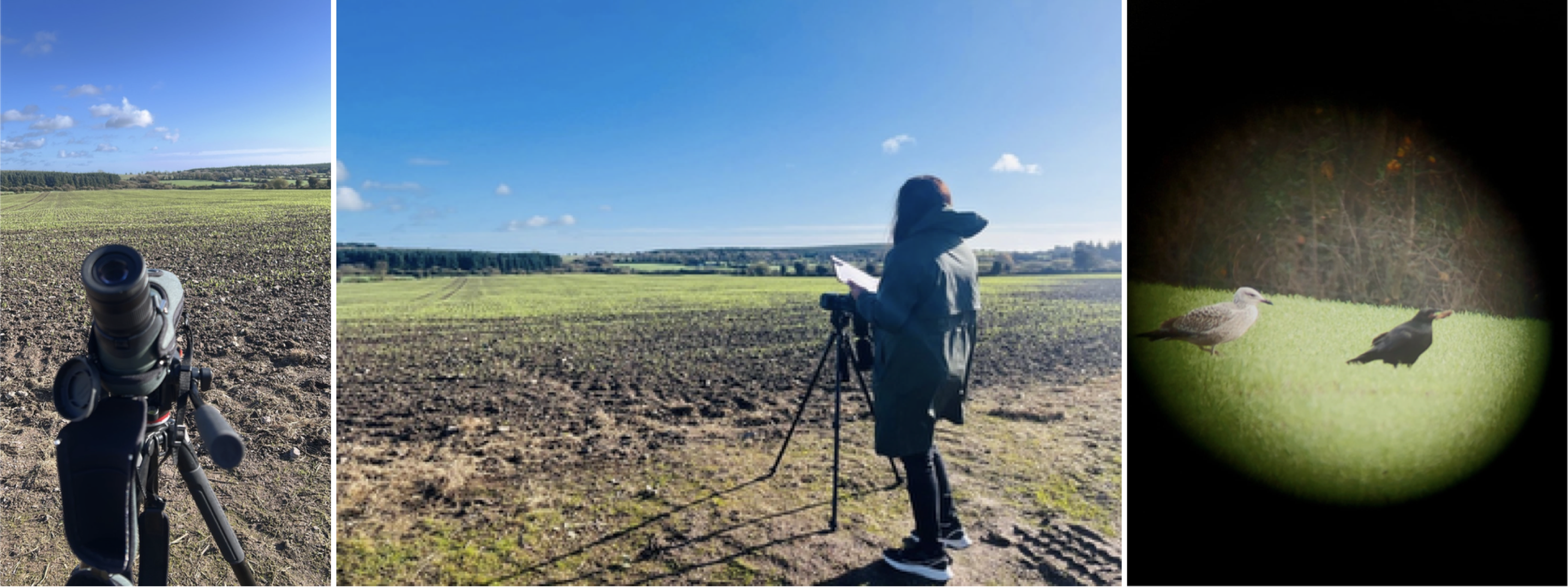 Conducting crop field surveys Conducting crop field surveys