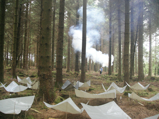 What is Canopy Fogging 