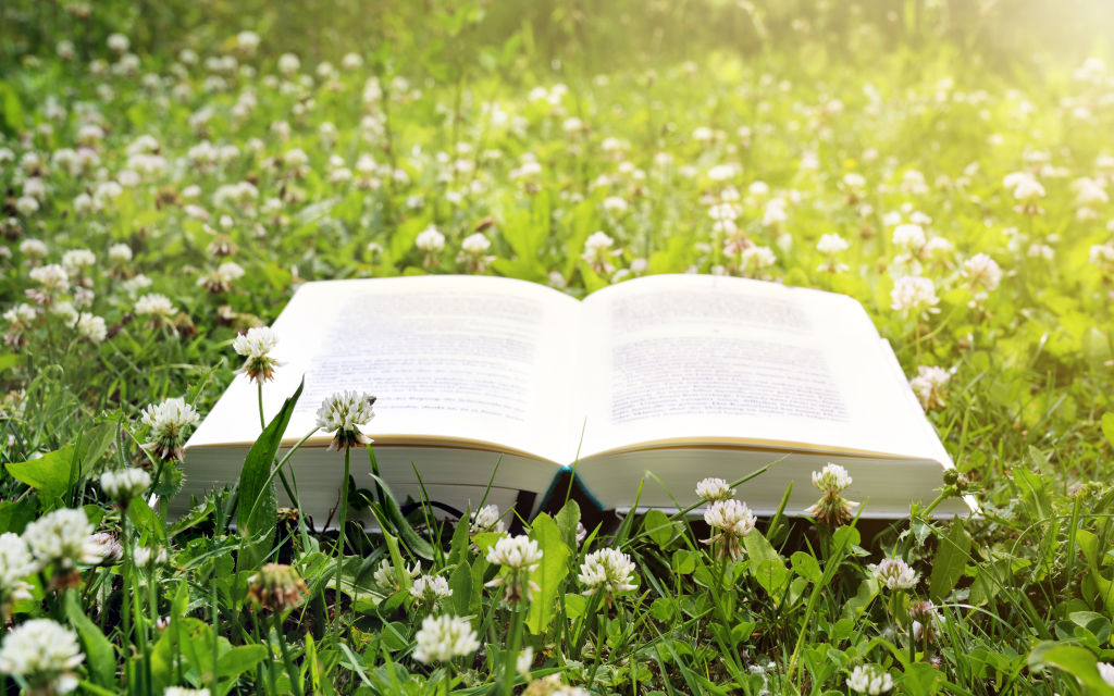 Open book on a lawn with clover in the evening sun