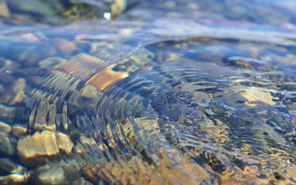 ripples on river flow over colorful stones in summer sunshine