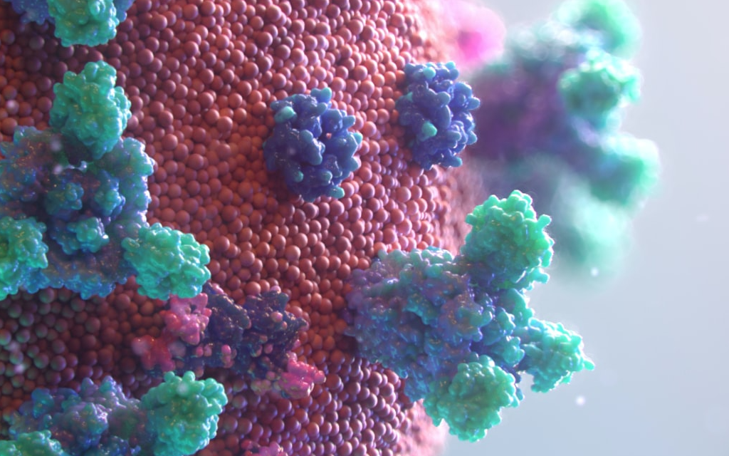 Visualisation of the Covid-19 virus