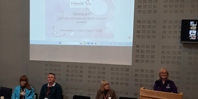 Woman standing behind a podium (on the right of the photo), with a large presentation screen and a seated panel of people to the left