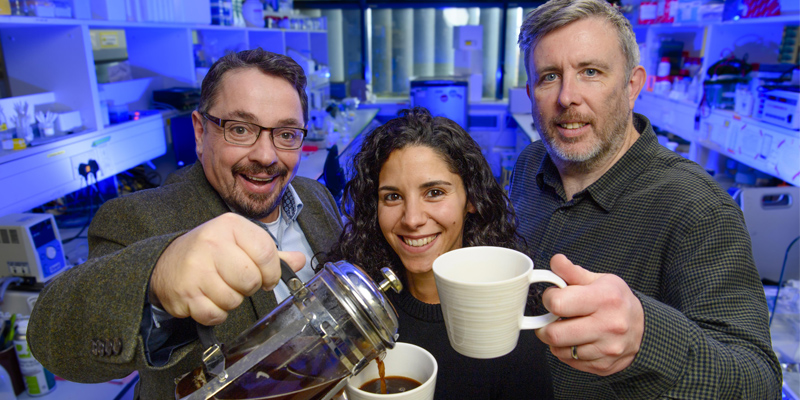 Photo (L-R): Professor John Cryan, Dr Serena Boscaini and Dr Gerard Moloney. Image credit: Provision.