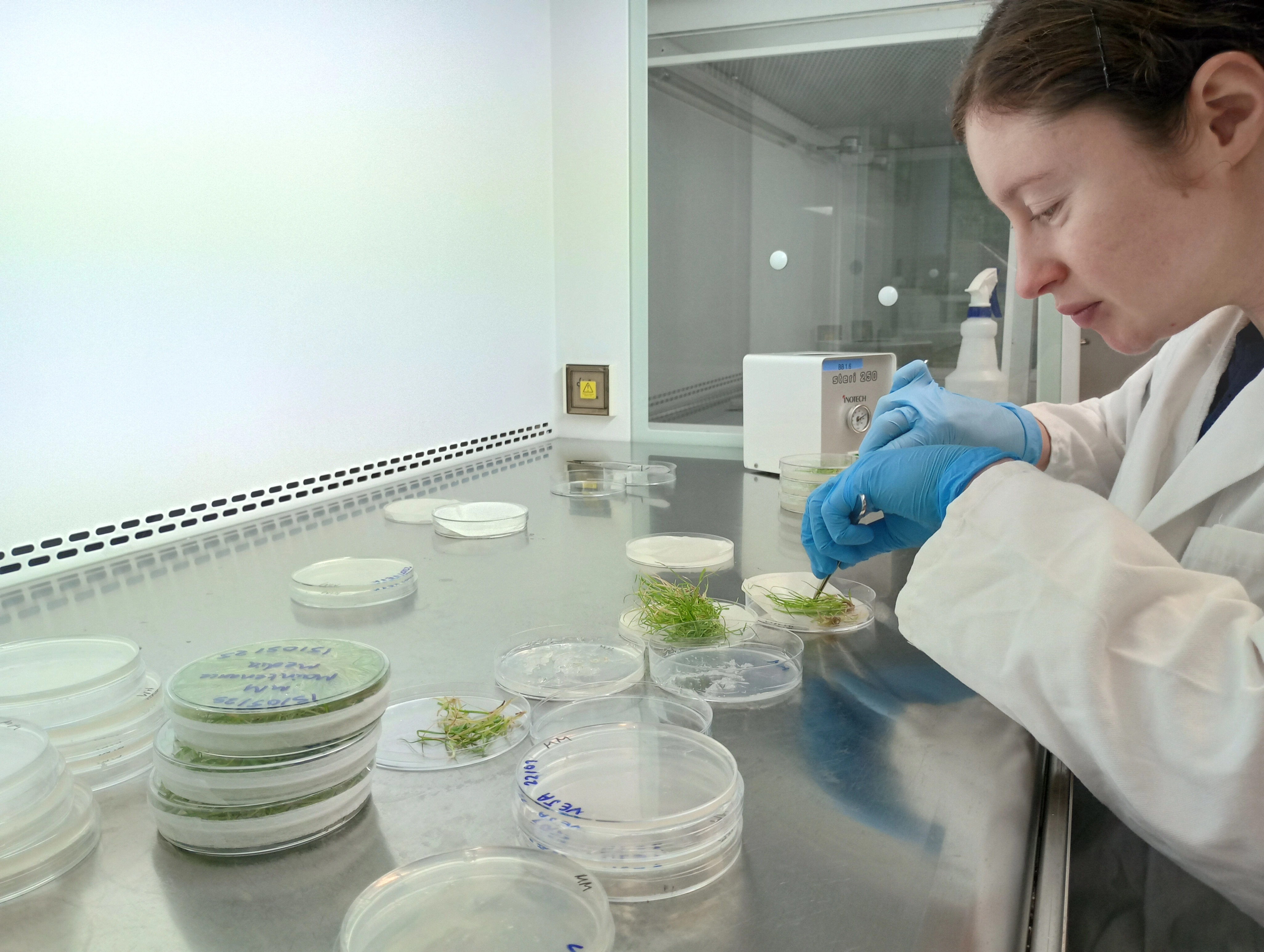 Meet the women behind the Resilient Crop Team on the&nbsp;International&nbsp;Day of Women and Girls in Science 