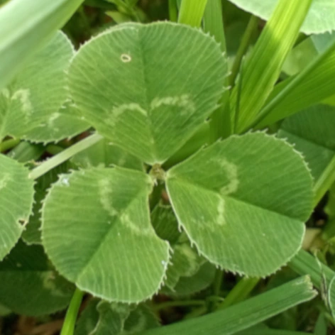 New Blog post coming soon!