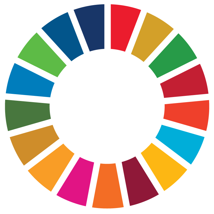 UN Sustainable Development goals colour wheel