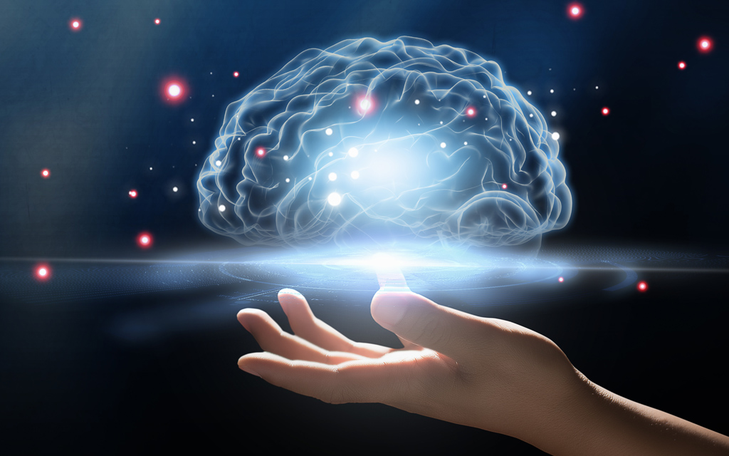 A hand holding a brain