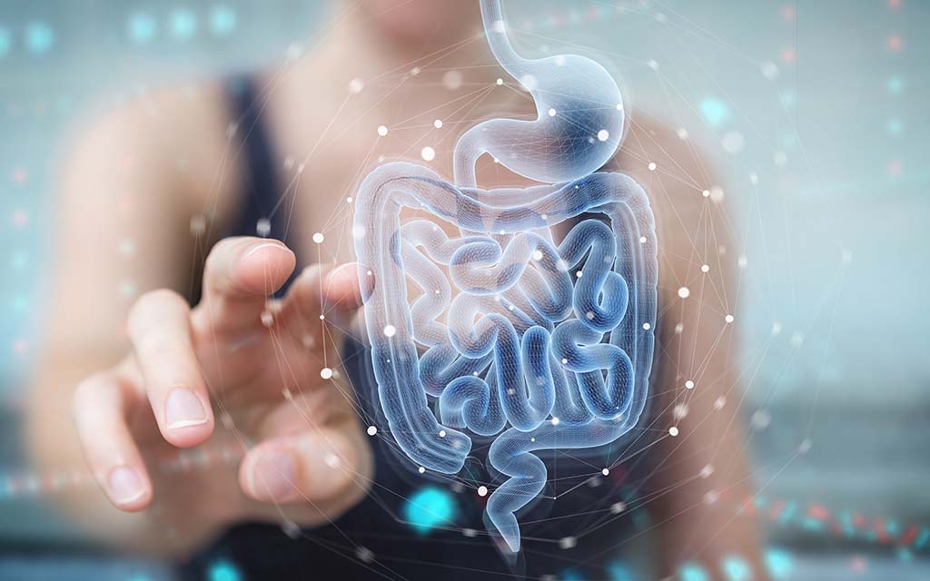 enhanced image with futuristic illustration of the intestines and microbiome