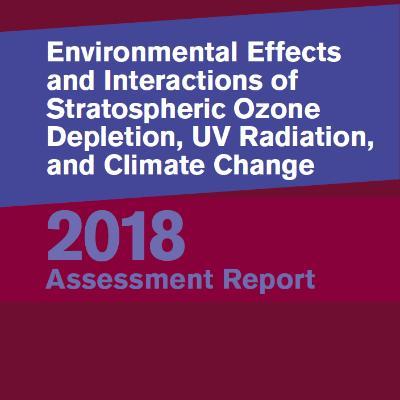UNEP-report on the effects of stratospheric ozone depletion published