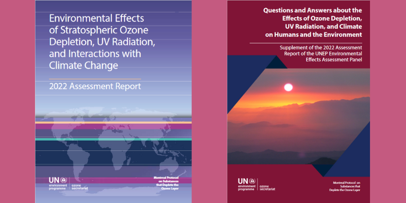 UNEP Assessment Report published