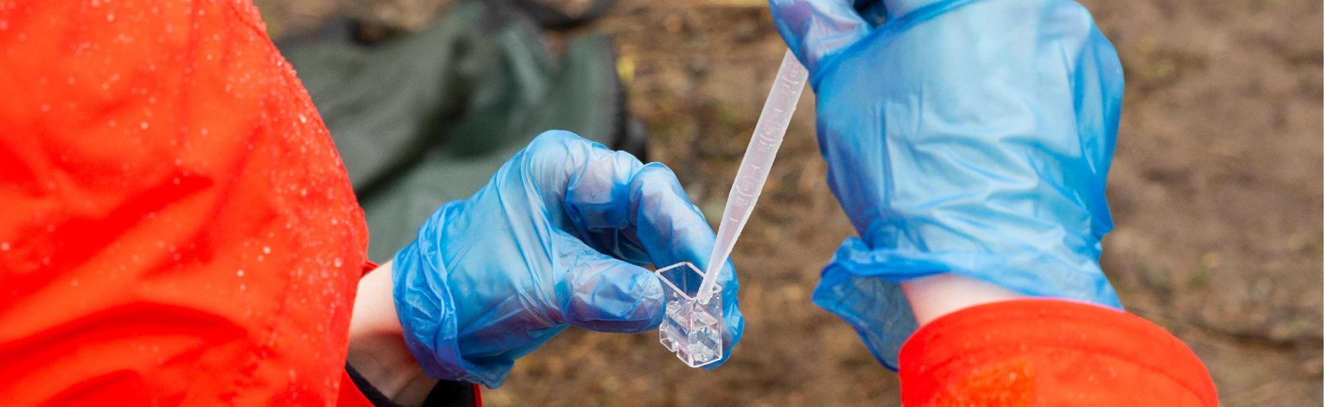 Pipetteing of water into a cuvette.