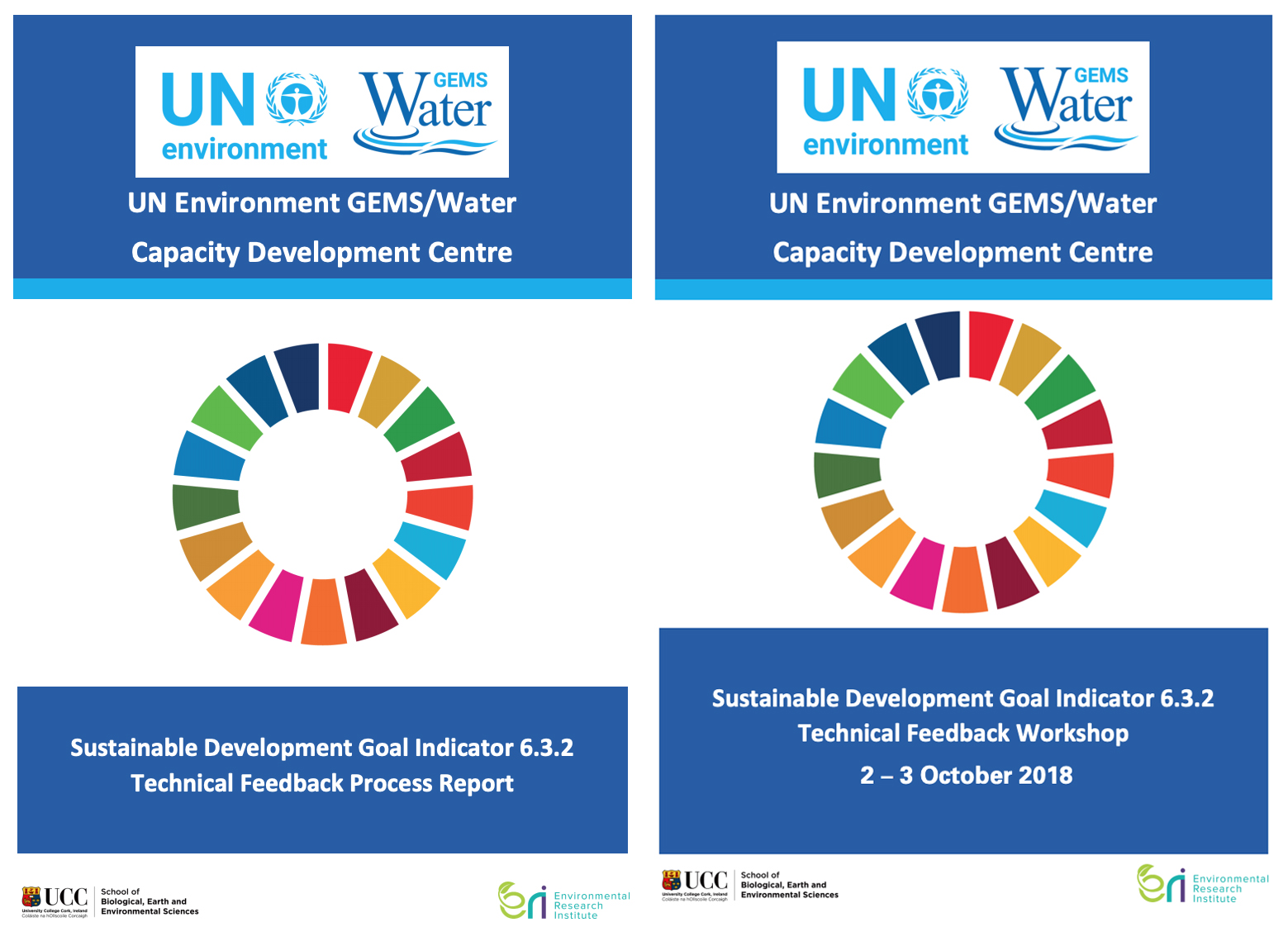 SDG Indicator 6.3.2 Feedback Process Reports