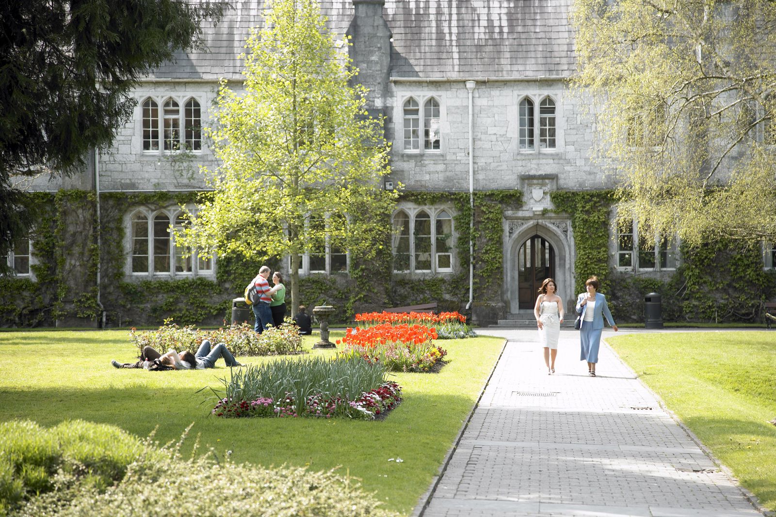 ACE at UCC are offering free or heavily subsidised places to those seeking to upskill or reskill under the Government's new Modular Skills Provision initiative. Fees are subsidised by 90-100%.