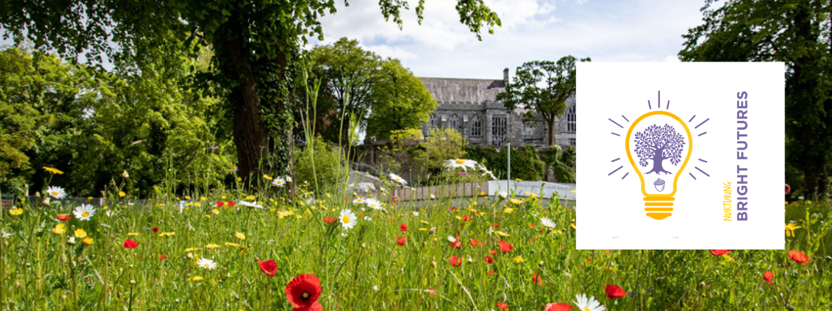 UCC flower garden