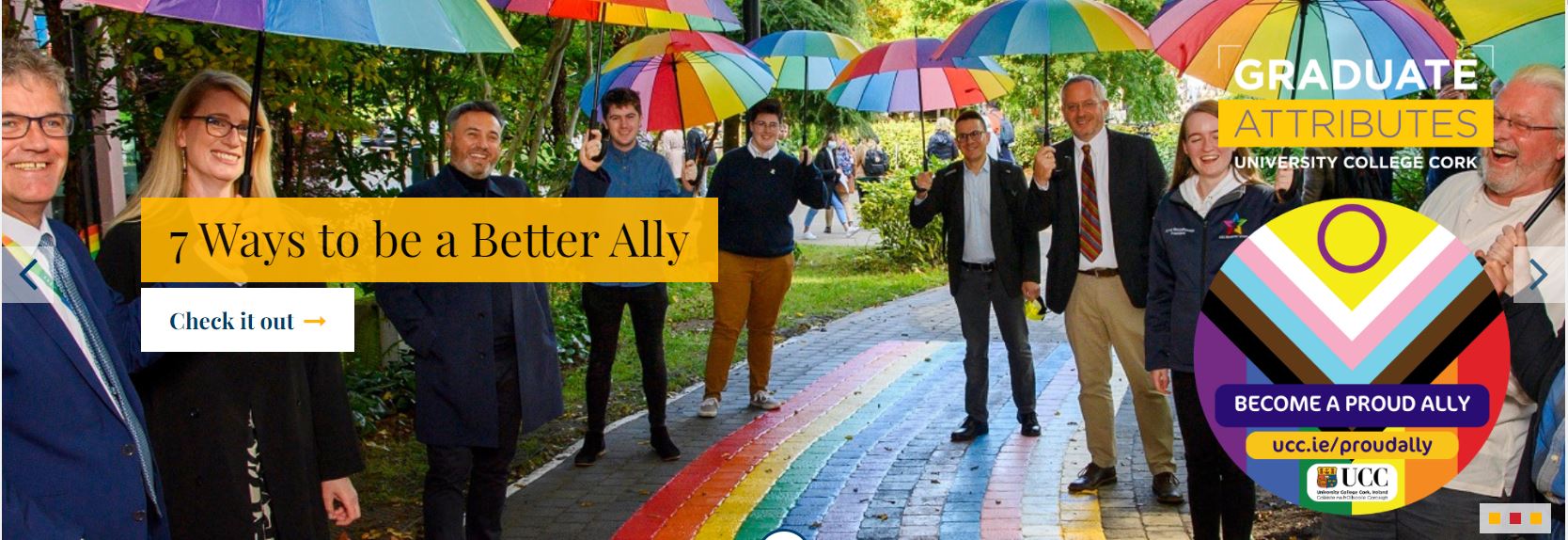 Graduate Attributes Programme launches Proud Ally campaign for students 