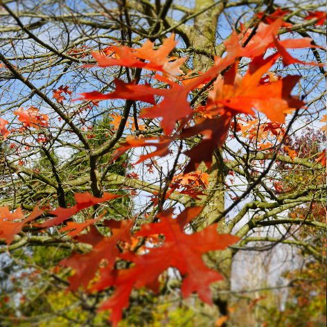 Funding for the Environmental Humanities Network - The Eco-Humanities Research Group: