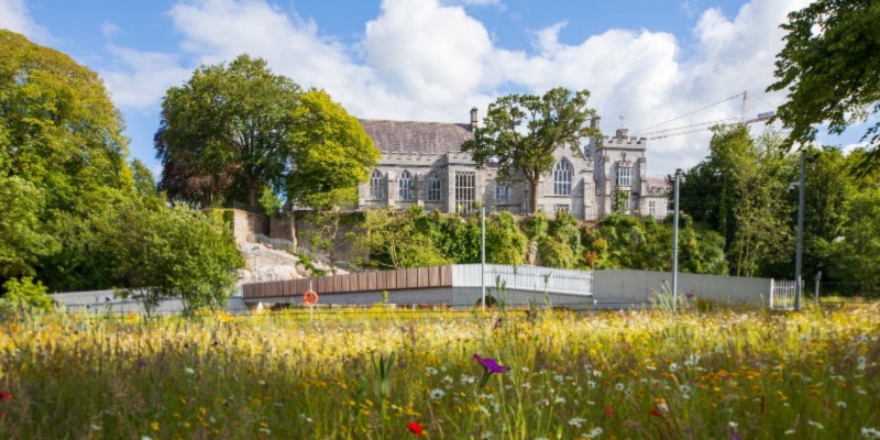 UCC named Global Sustainability Institution of the Year