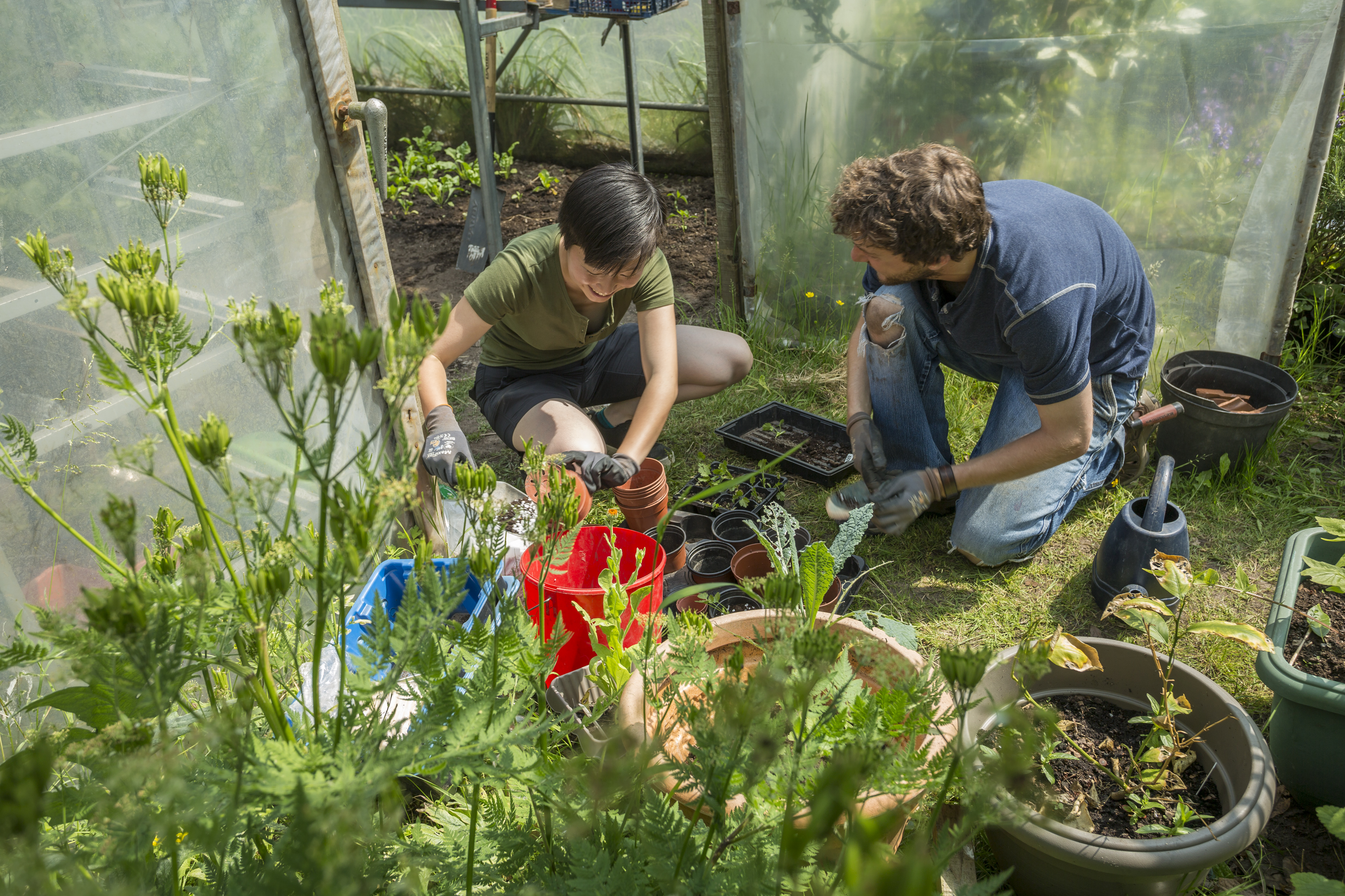 UCC Community Gardens