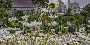 UCC Ranked as One of the Most ‘Sustainable Universities’ In The World 