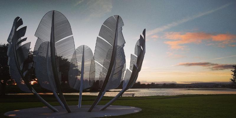 Stainless steel sculpture depicting feathers reaching upwards. Located in parkland framed by trees in the distance.