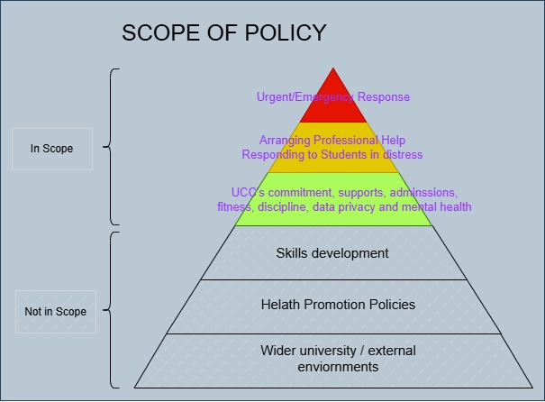 Scope of Policy - pyramid graphic