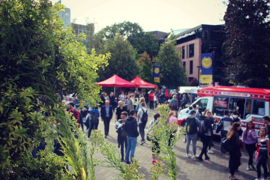 Shallow depth of field of a tree in focus on the foreground with market stalls out of focus in the background on the hogan plaza UCC