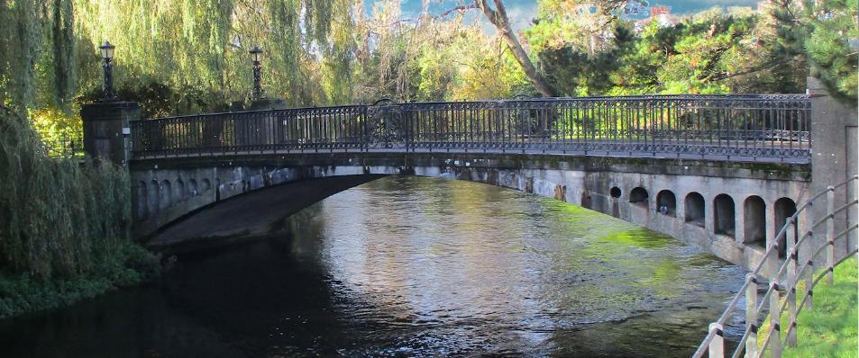 Alumni Bridge, UCC