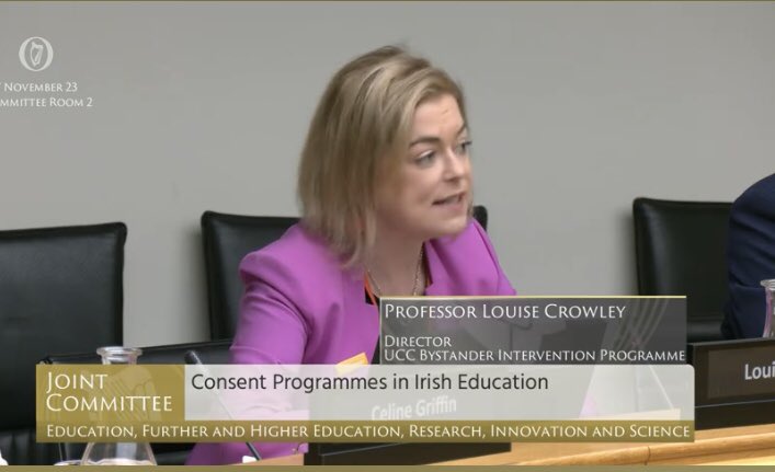 Professor Louise Crowley, Director of the UCC Bystander Intervention Programme, speaking before the Oireachtas committee