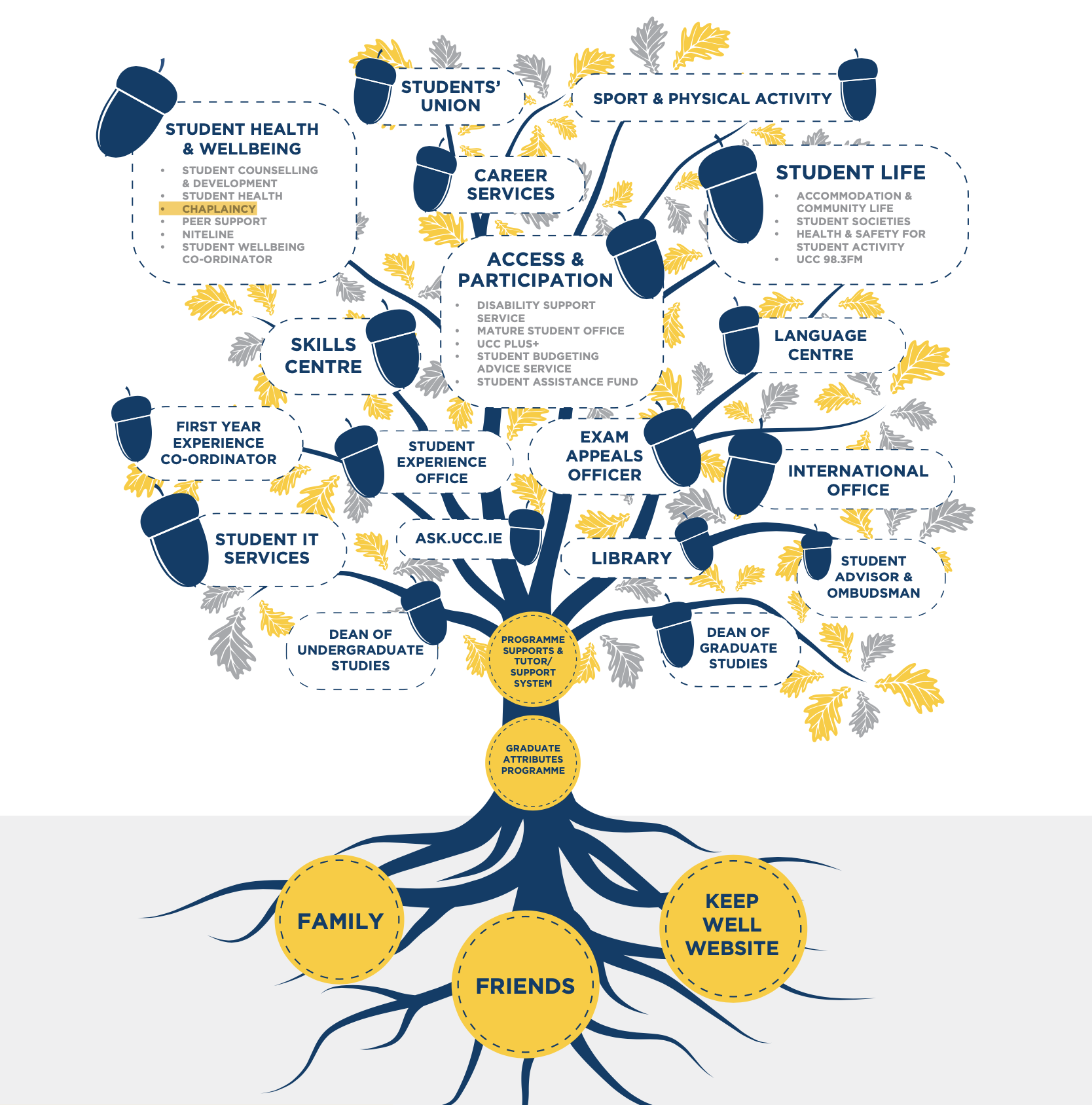 The acorn to oak support tree with Chaplaincy highlighted