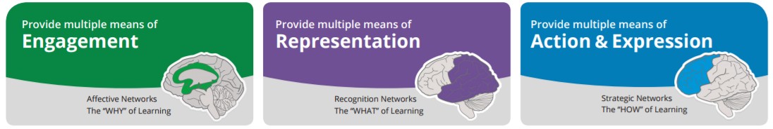 CIRTL Seminar: Addressing diversity through Universal Design for Learning, Feb 8th