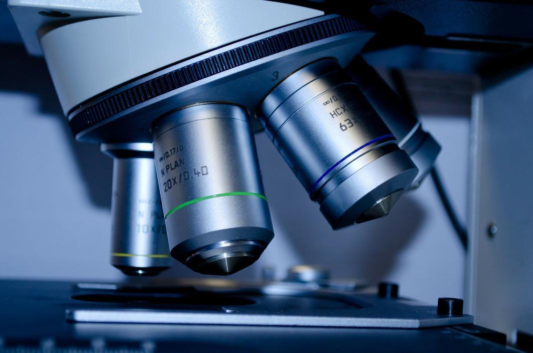 Making Connections: Development of a virtual learning environment for the teaching of histology in anatomical education Making Connections: Development of a virtual learning environment for the teaching of histology in anatomical education