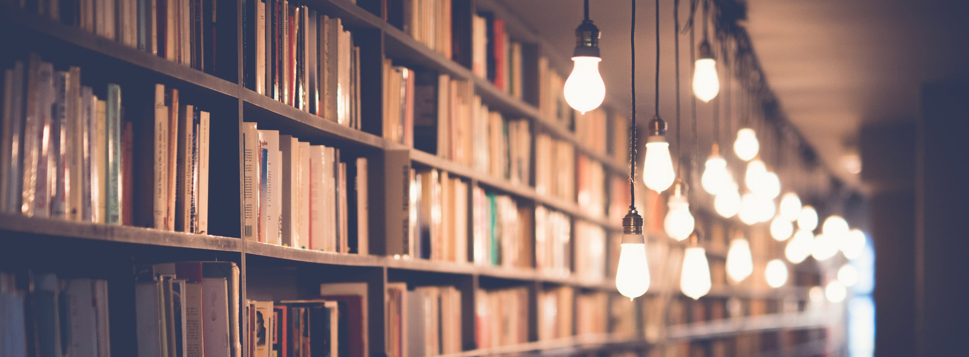 bookshelves and lights