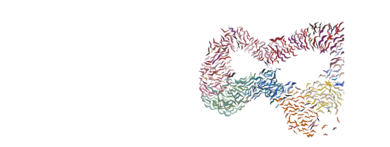 A rainbow murmuration of multi-coloured paper birds