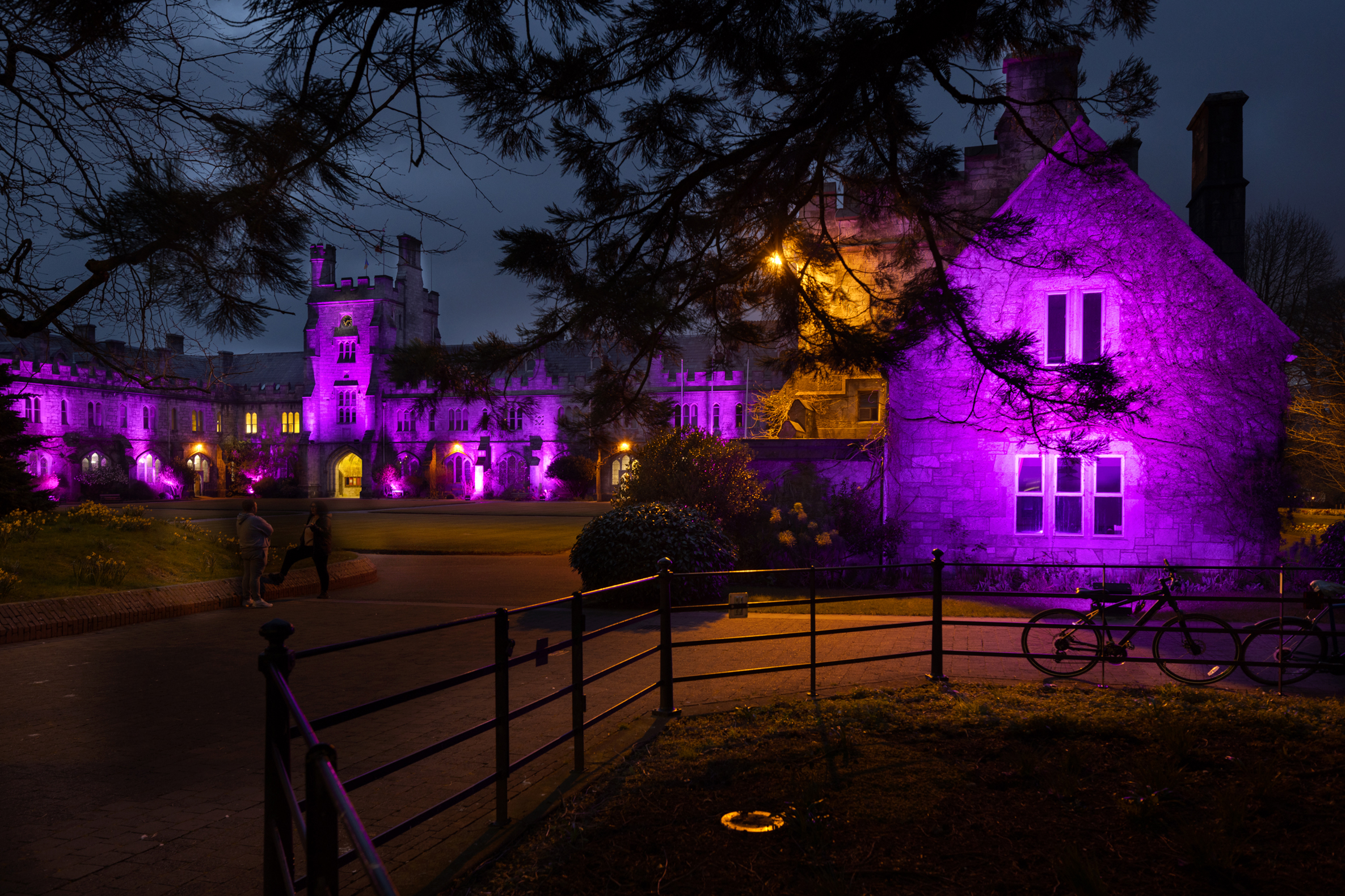 UCC Quad lit up purple for World Down Syndrome Day 2023