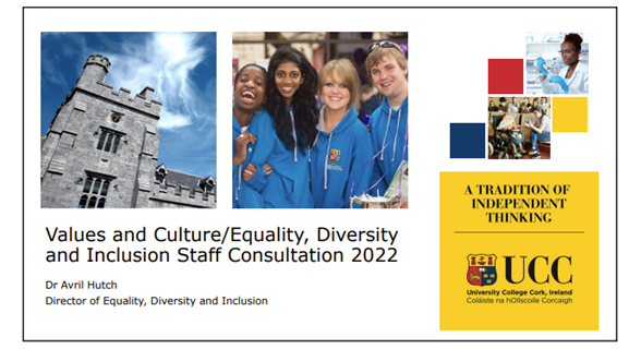 Values and Culture/EDI Staff Consultation 2022