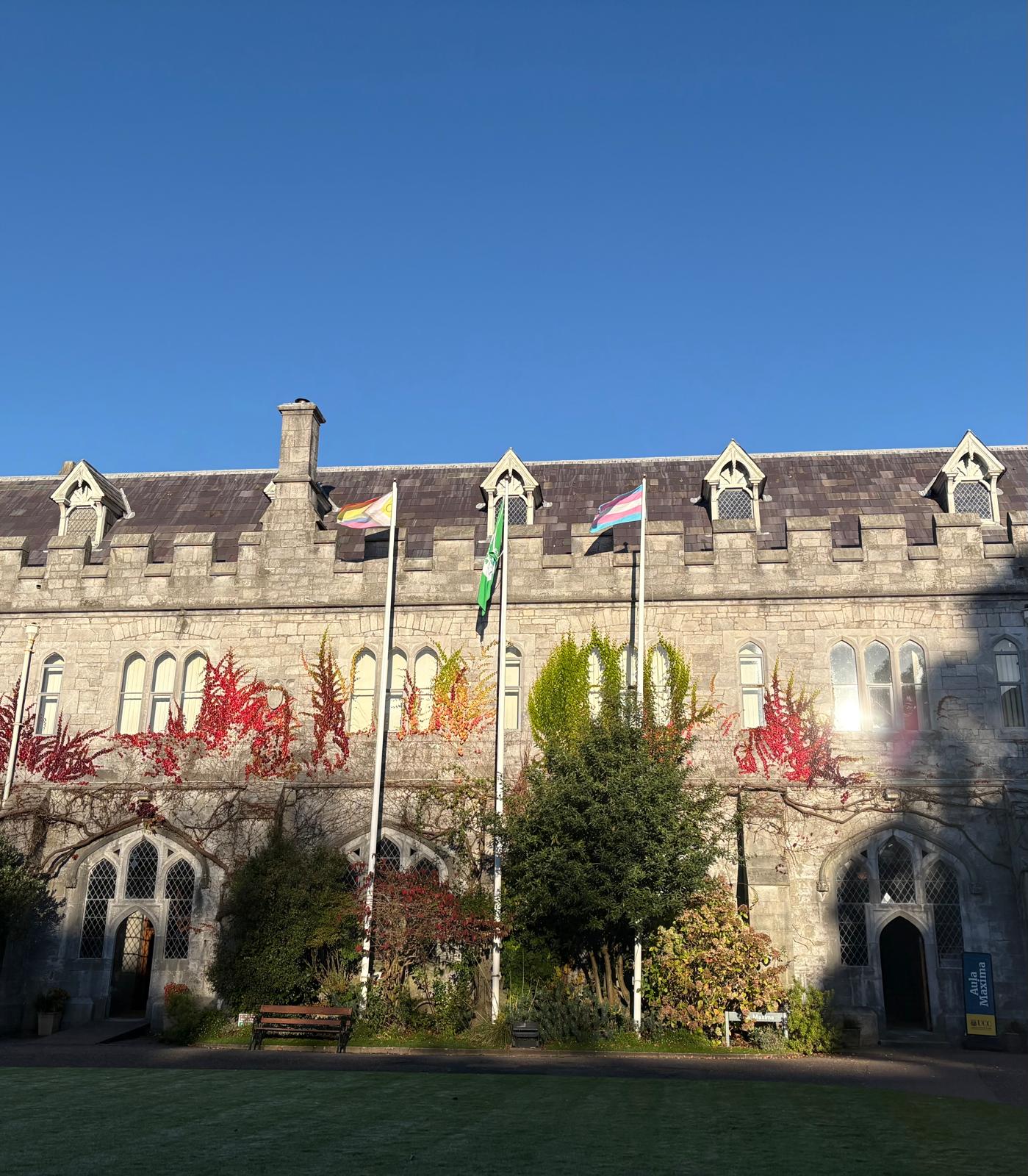 Pride flags flying on the Quad for Transgender Day of Remembrance 2025