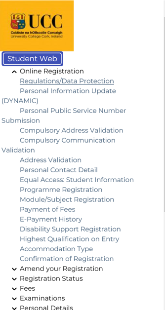Visual of online registration menu
