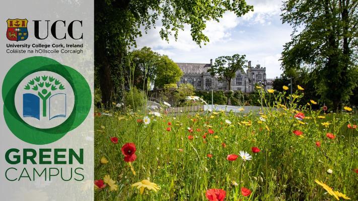 Would you like to have UCC Green Campus background to use during your TEAMS meetings? 
