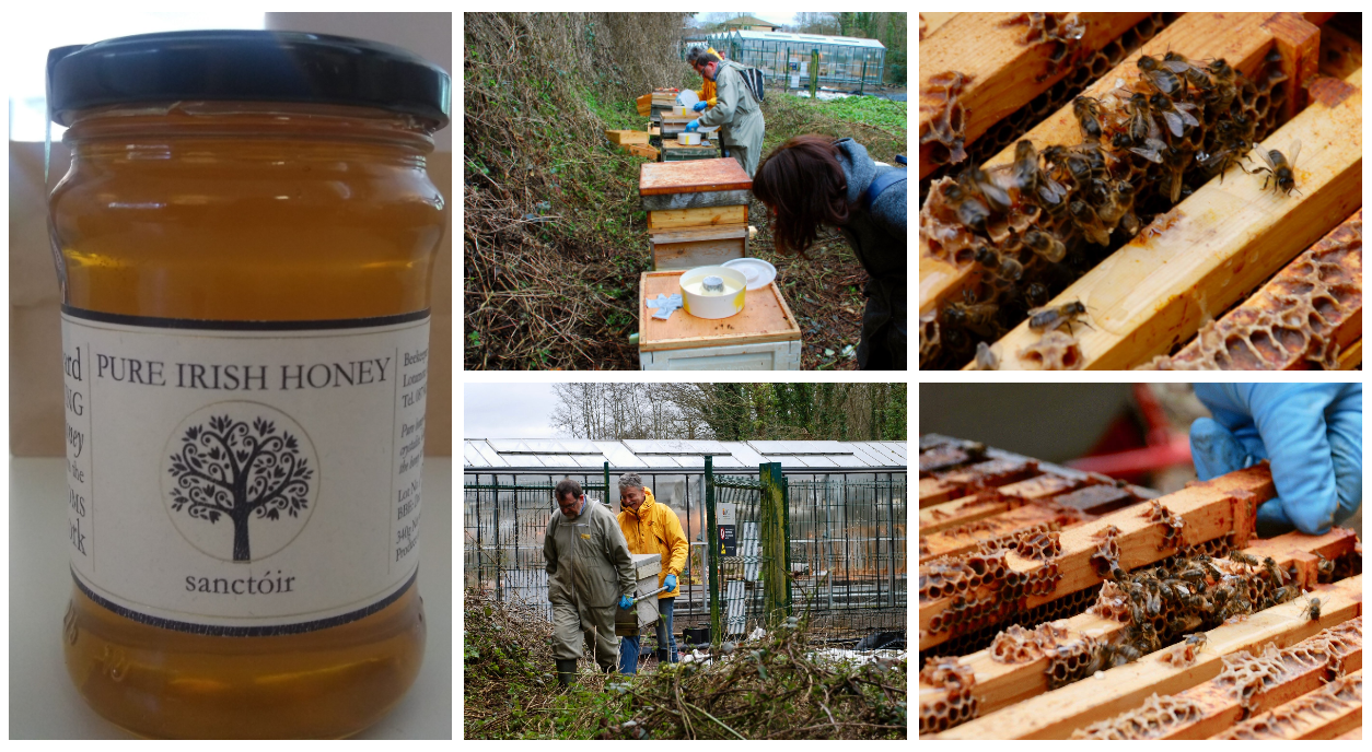 UCC Apiary and Honey Gallery