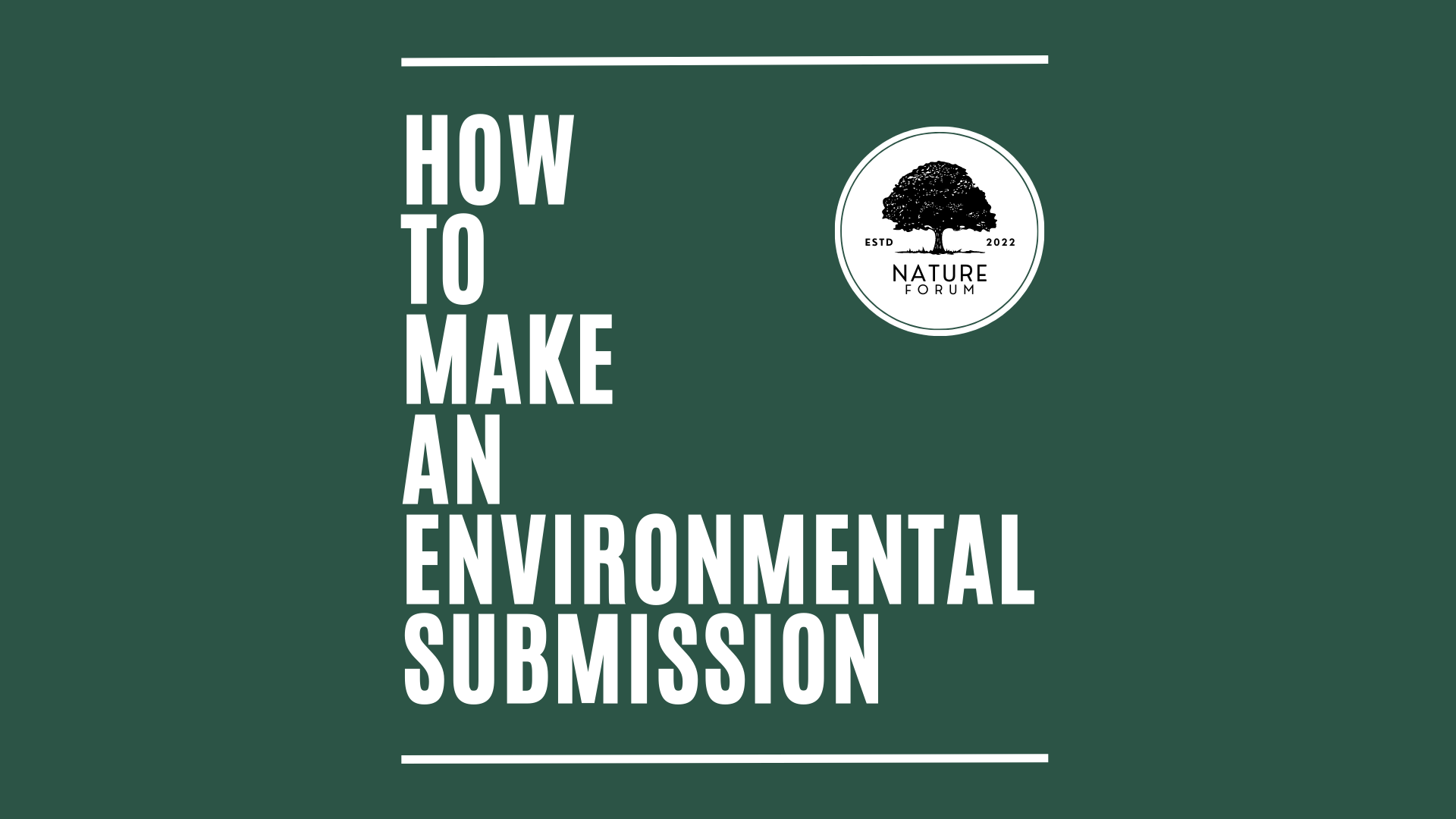 How to Make an Environmental Submission