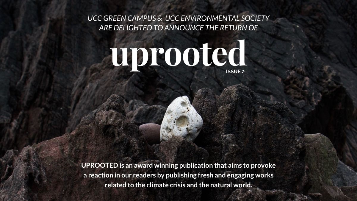 Uprooted: Call For Submissions