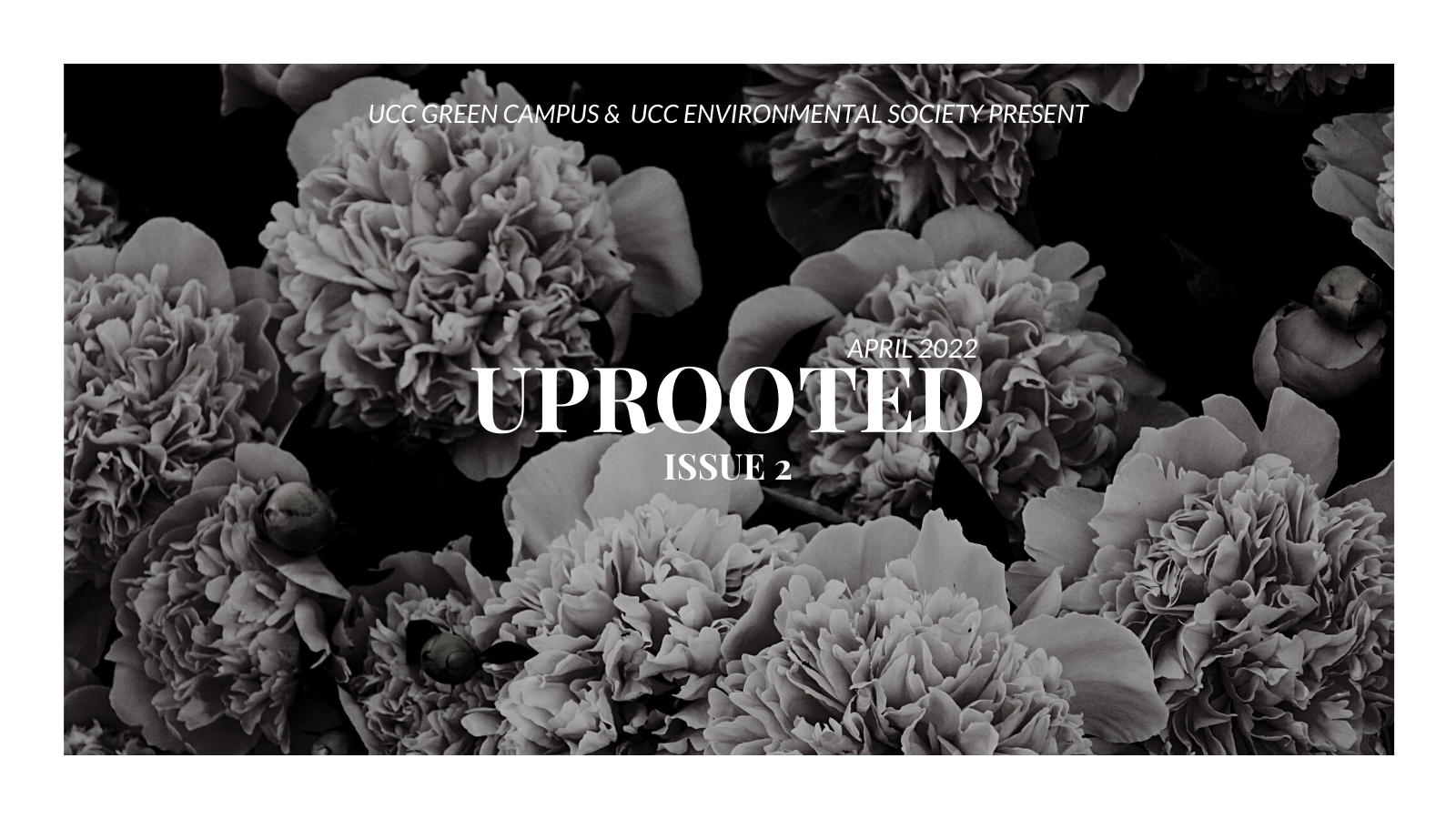 Issue 2 of Uprooted