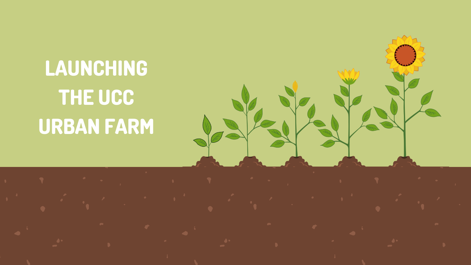 Launching the UCC Urban Farm