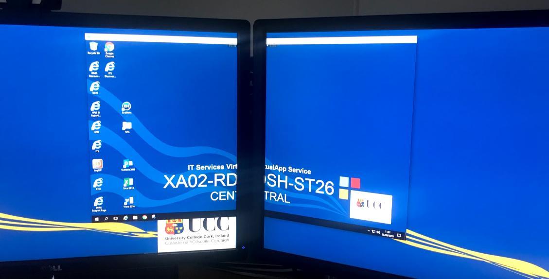 Citrix Dual Monitor